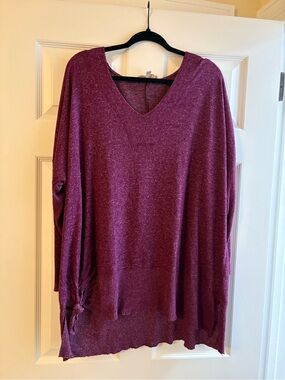 Philosophy Women's V-Neck Sweater in Plum Heather